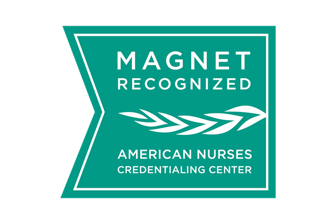 Magnet